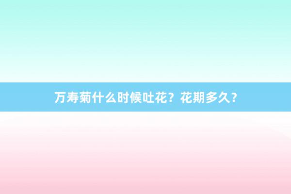 万寿菊什么时候吐花?花期多久?
